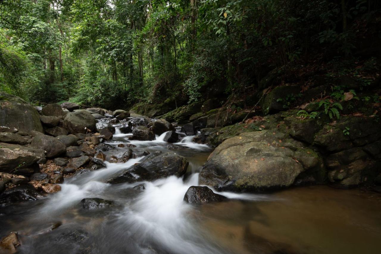 Moksha At - Rainforest Luxury Boutique 5* Kitulgala